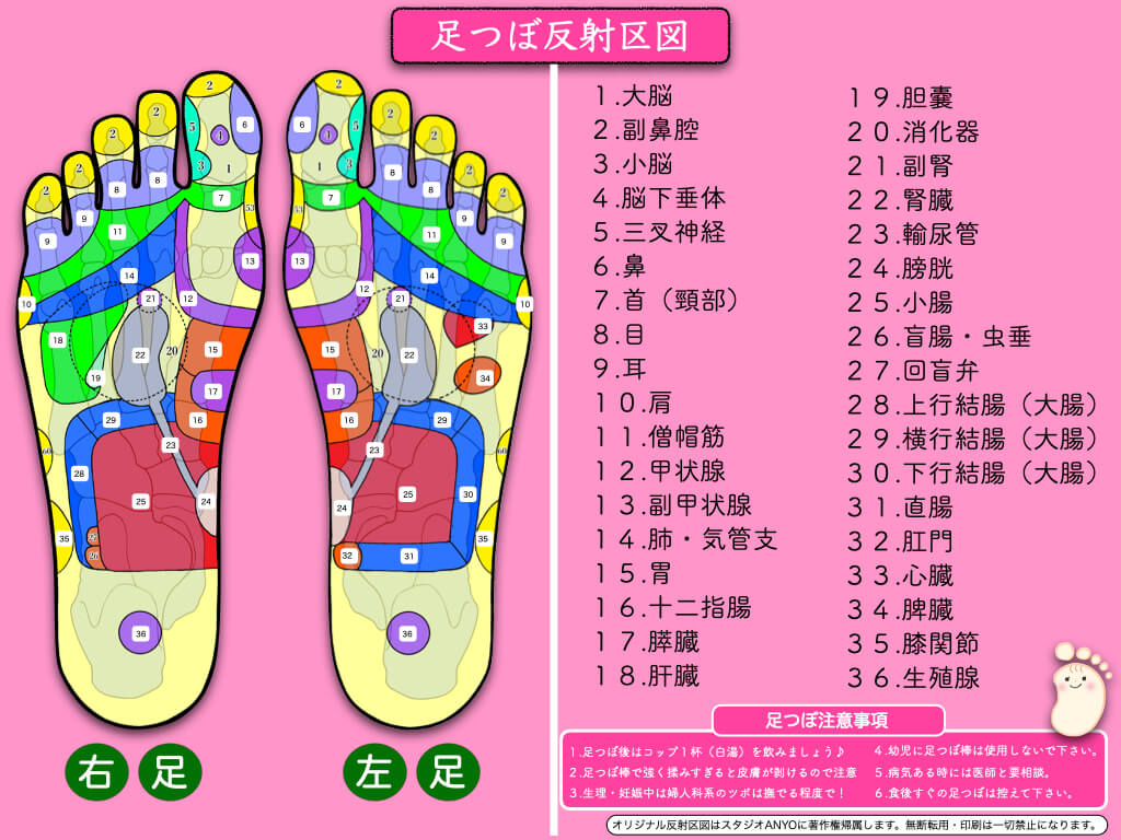 足裏のツボ図解 足つぼスクール