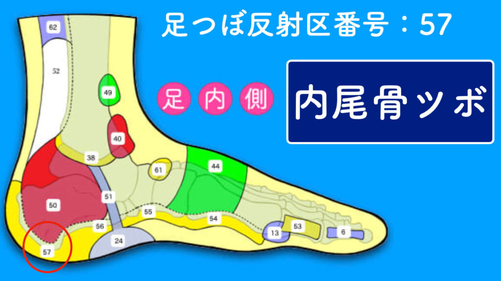 反射区番号57「側面のツボ」
