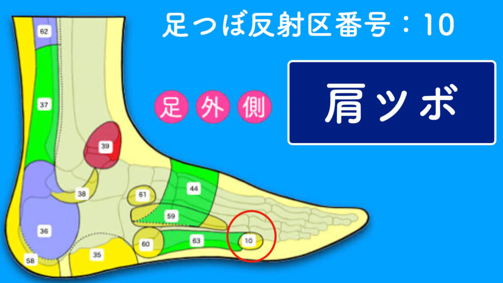 反射区番号10「側面のツボ」