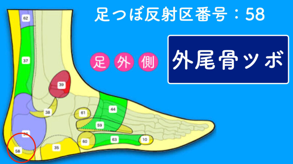 反射区番号58「側面のツボ」