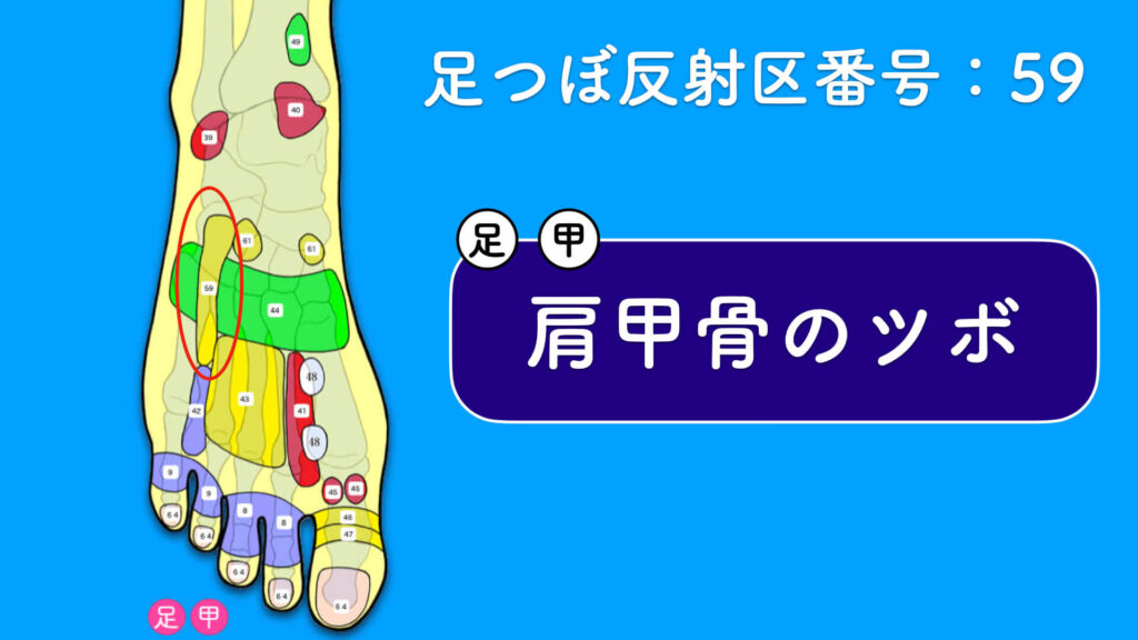 足の甲ツボは１６箇所あり 甲の足つぼ図解解説 足つぼスクール