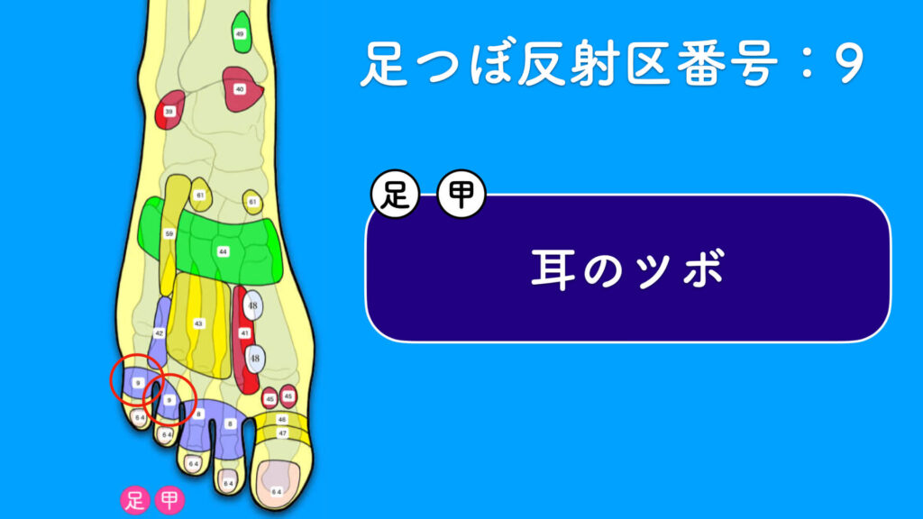 足の甲ツボは１６箇所あり 甲の足つぼ図解解説 足つぼ教科書