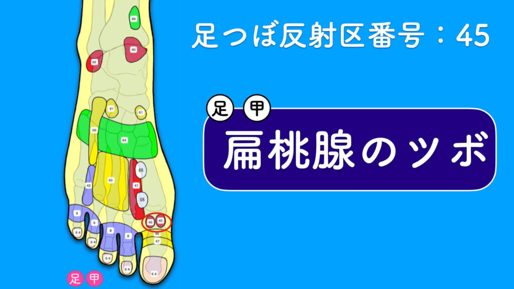 足の甲ツボ「扁桃腺ツボ」