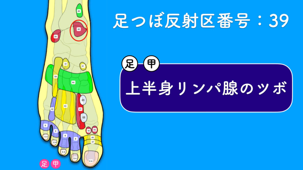 足の甲ツボ「上半身リンパ腺のツボ」